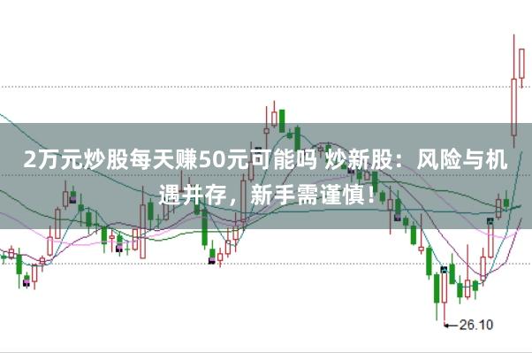 2万元炒股每天赚50元可能吗 炒新股：风险与机遇并存，新手需谨慎！
