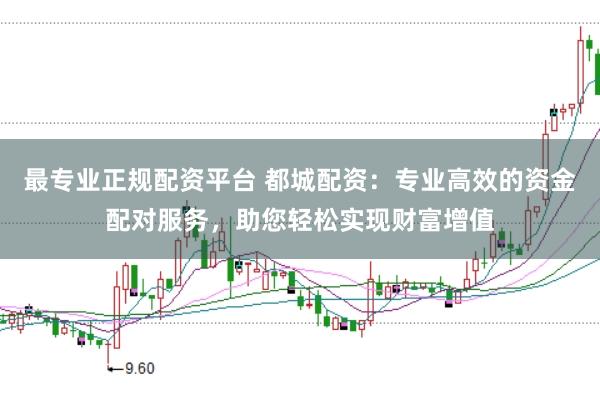 最专业正规配资平台 都城配资：专业高效的资金配对服务，助您轻松实现财富增值