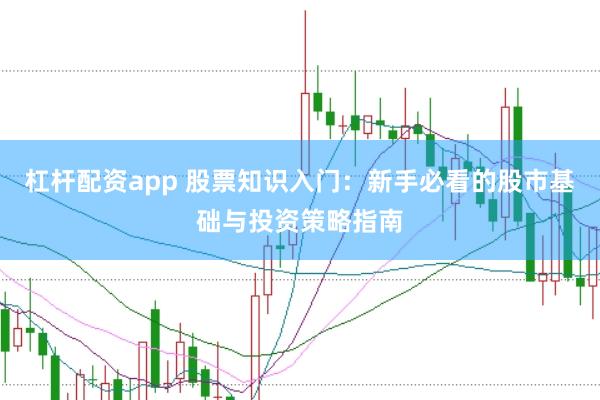 杠杆配资app 股票知识入门：新手必看的股市基础与投资策略指南