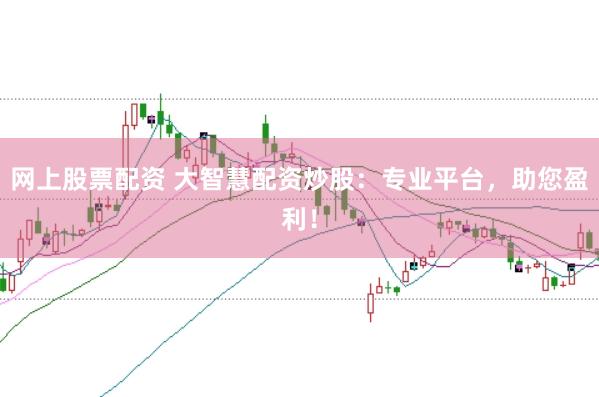 网上股票配资 大智慧配资炒股：专业平台，助您盈利！