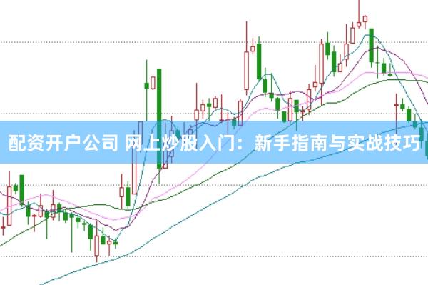 配资开户公司 网上炒股入门：新手指南与实战技巧