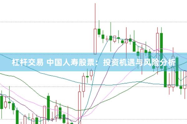 杠杆交易 中国人寿股票：投资机遇与风险分析