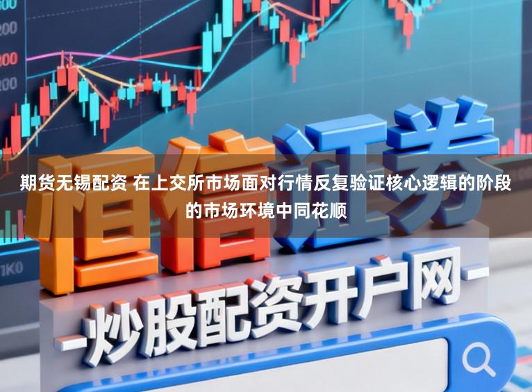 期货无锡配资 在上交所市场面对行情反复验证核心逻辑的阶段的市场环境中同花顺
