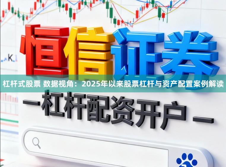 杠杆式股票 数据视角：2025年以来股票杠杆与资产配置案例解读